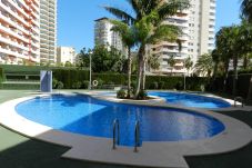 Apartment in Calpe / Calp - Apartamento Ambar Beach 4  Personas